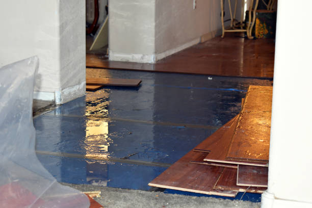 Professional Sewage Cleanup technician working in Newfield, ME